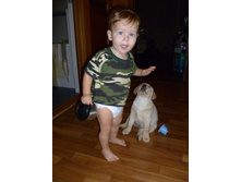 ��������� ����