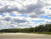 ������ (1)