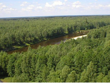 ��� � ����� (1)