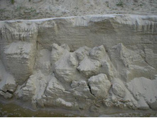 ���� ������