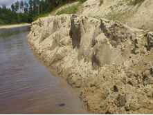 ������ (3)