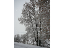 25.12.2010 18:40:10