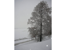 25.12.2010 18:40:27