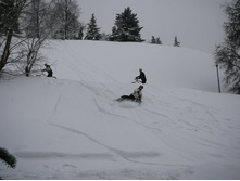25.12.2010 19:19:58