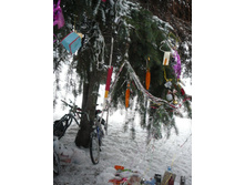 25.12.2010 19:52:29
