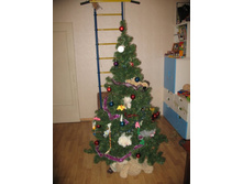 ����� ������� )