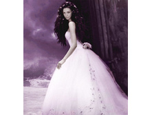 The Mysterious Bride