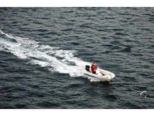 ������������� ���������