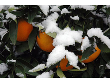 ��������� ��� ������