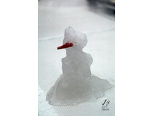 ������� ���� �� ������