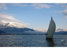 �������� ��� ����������