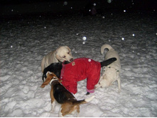 30.12.2010 23:32:29