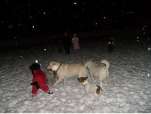 30.12.2010 23:32:32