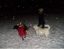 30.12.2010 23:32:33