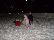 30.12.2010 23:34:02