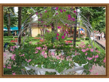 ����� ����� �������