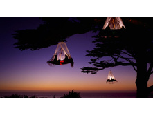 ��� ��������