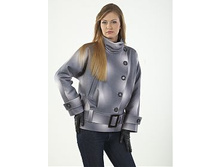 ���� 1231 ���