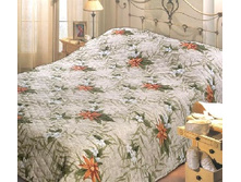 ������ -���������