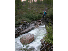 �������� �����