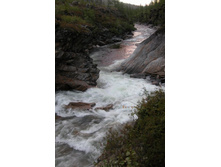 ����� �����