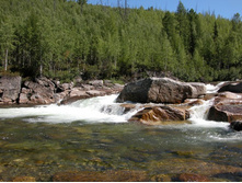 ����� ����