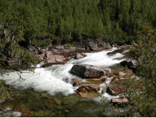 ����� ����