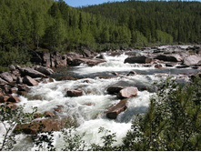 ����� ����