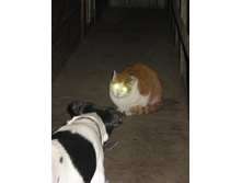 10.01.2011 15:51:31