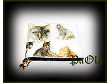 ������� �� ������������ �����.�����.