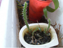 ������� �� �����