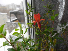 ������ ���� ������ �� ������