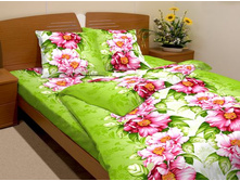 ������� ����