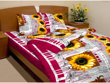 ������ �����