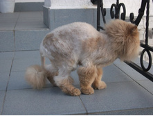 ��� ��������� ���� ����