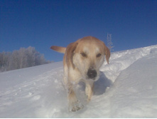 ������ ����� ������� �������������� ����!