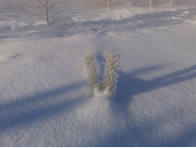 ��� ��� ������ ����. � ��� ��� ���������� �����! )