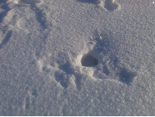 ��� ��������, ��� ���������� �� ���� � ��������� 4 �����?! )