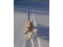 ������ � �� ����� �����