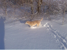 � ��� ����� �� ��������! 