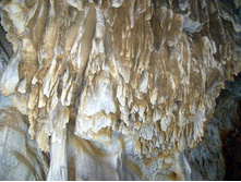 ������ ���������. \"���������\"