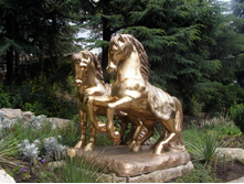 ������� ����. ��� ������������, ��������