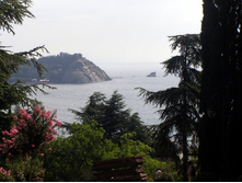 ��� ������������, ��������