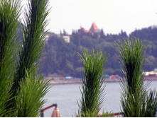 ��� ������������, ��������