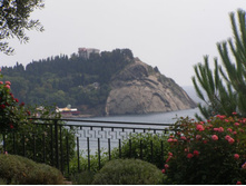 ��� ������������, ��������