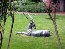 ���������� �������. ��� ������������, ��������