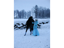 14.01.2011 15:33:51