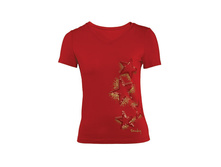 �������� ������� L*S-13216