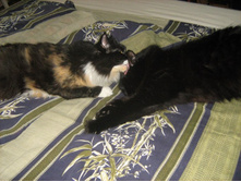 �� ����� �� �� ������, ��� ���������