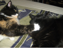 � � ����� ��� �� ���������